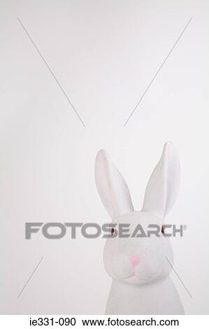 A white rabbit View Large Photo Image Stock Image - A white rabbit. Fotosearch