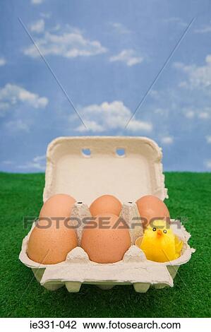 Stock Image - Chick in an egg carton. Fotosearch