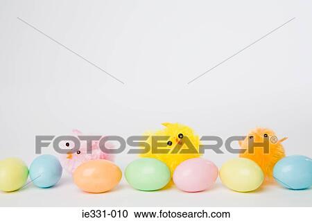 Chicks and easter eggs in a row View Large Photo Image Stock Image - Chicks and easter eggs in a row. Fotosearch
