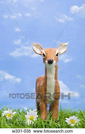 Stock Photography - Deer. Fotosearch