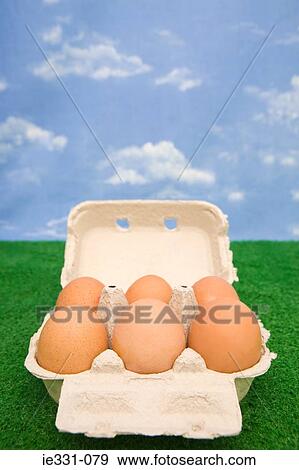 Stock Photo - Eggs in an egg carton. Fotosearch