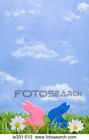 Rabbit shapes and daisies View Large Photo Image Stock Image - Rabbit shapes and daisies. Fotosearch