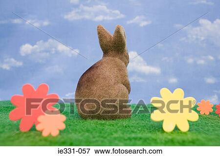 Rear view of a rabbit View Large Photo Image Stock Photo - Rear view of a rabbit. Fotosearch