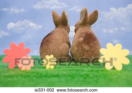 Rear view of two rabbits View Large Photo Image Stock Image - Rear view of two rabbits. Fotosearch