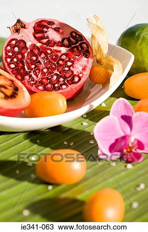 Pomegranate lime kumquat and physalis View Large Photo Image Stock Image - Pomegranate lime kumquat and physalis. Fotosearch