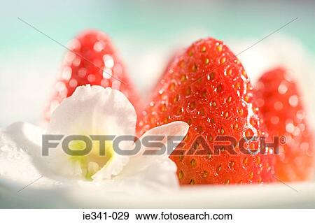 Stock Photo - Strawberries and flower. Fotosearch