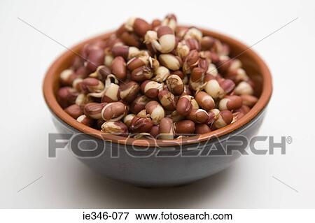 Aduki beans View Large Photo Image Stock Photo - Aduki beans. Fotosearch