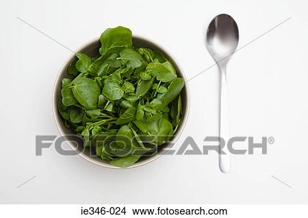 Picture - Bowl of spinach and watercress and a spoon. Fotosearch