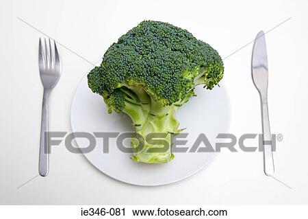 Broccoli on a plate View Large Photo Image Stock Image - Broccoli on a plate. Fotosearch