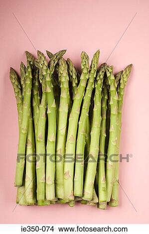 Asparagus View Large Photo Image Picture - Asparagus. Fotosearch