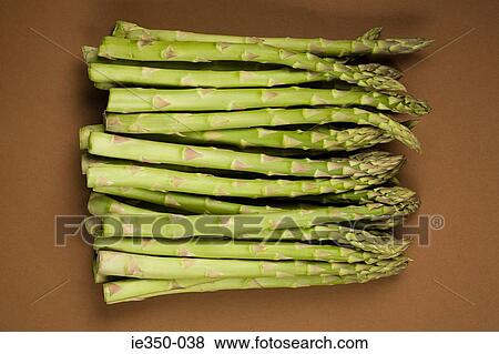 Asparagus View Large Photo Image Stock Photo - Asparagus. Fotosearch