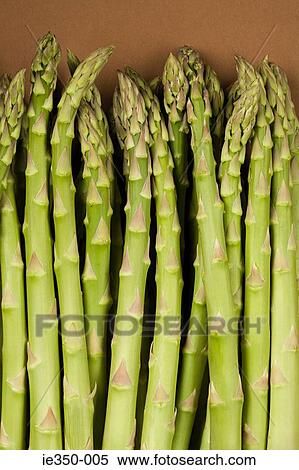 Stock Photography - Asparagus. Fotosearch