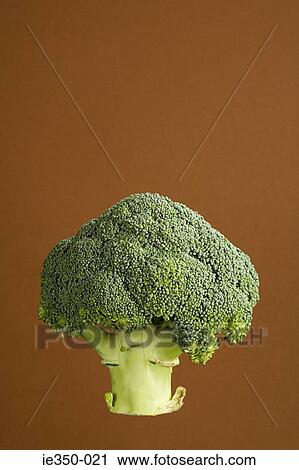 Stock Image - Broccoli. Fotosearch