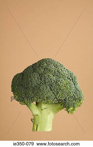 Stock Photo - Broccoli. Fotosearch