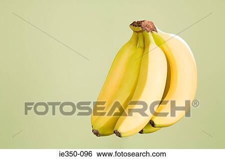 Bunch of bananas View Large Photo Image Stock Photograph - Bunch of bananas. Fotosearch