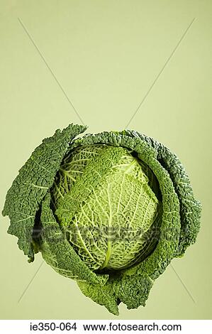Cabbage View Large Photo Image Picture - Cabbage. Fotosearch