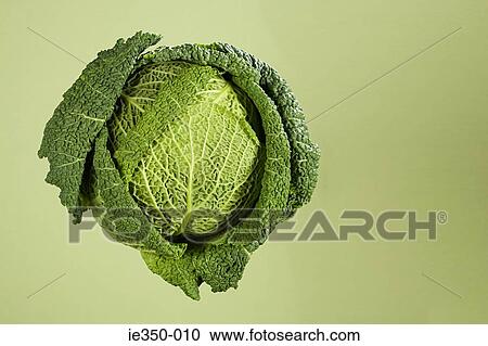 Stock Image - Cabbage. Fotosearch