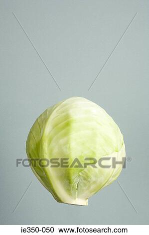 Cabbage View Large Photo Image Stock Image - Cabbage. Fotosearch