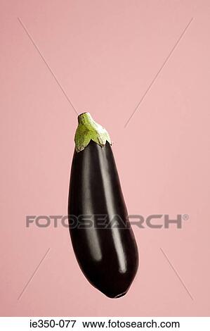 Eggplant View Large Photo Image Stock Photo - Eggplant. Fotosearch