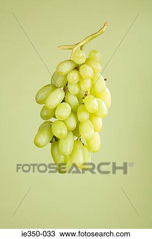 Grapes View Large Photo Image Stock Image - Grapes. Fotosearch