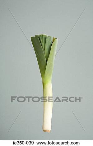 Leek View Large Photo Image Stock Photo - Leek. Fotosearch