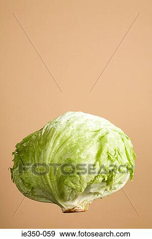 Lettuce View Large Photo Image Stock Photo - Lettuce. Fotosearch