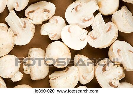 Stock Image - Mushrooms. Fotosearch