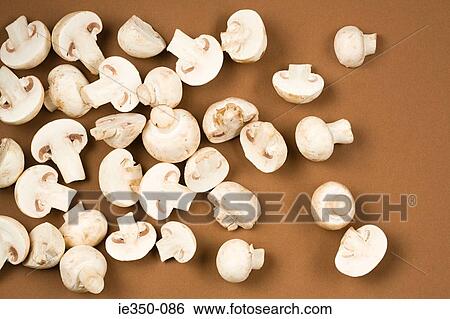 Stock Photograph - Mushrooms. Fotosearch