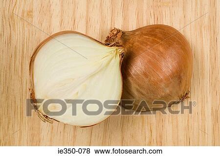 Onion cut in half View Large Photo Image Stock Photo - Onion cut in half. Fotosearch