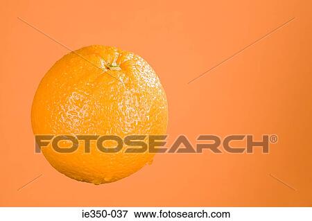 Stock Photo - Orange. Fotosearch