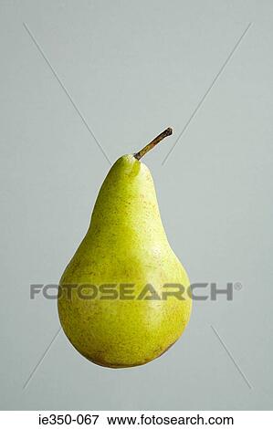 Pear View Large Photo Image Stock Photo - Pear. Fotosearch