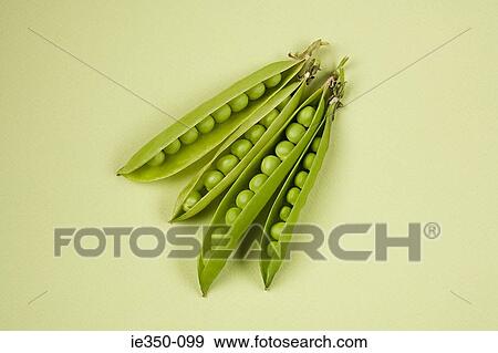 Peas in pods View Large Photo Image Stock Photo - Peas in pods. Fotosearch
