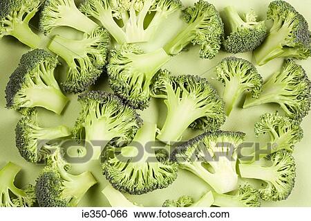 Pieces of broccoli View Large Photo Image Stock Photograph - Pieces of broccoli. Fotosearch
