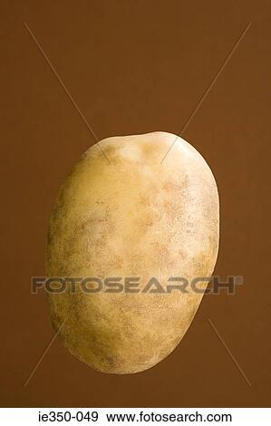 Potato View Large Photo Image Stock Photo - Potato. Fotosearch