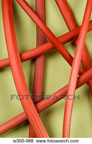 Rhubarb View Large Photo Image Stock Photo - Rhubarb. Fotosearch