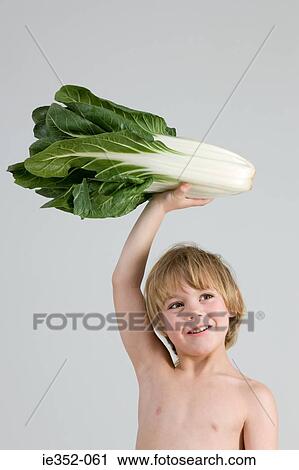 Boy holding chinese cabbage View Large Photo Image Stock Image - Boy holding chinese cabbage. Fotosearch