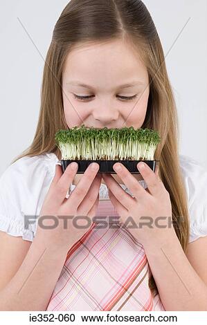 Girl with tray of cress View Large Photo Image Stock Image - Girl with tray of cress. Fotosearch