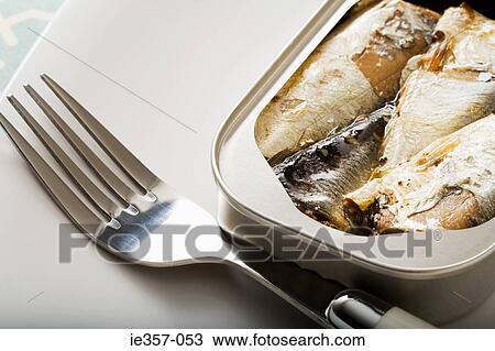 A can of sardines and a fork View Large Photo Image Stock Image - A can of sardines and a fork. Fotosearch
