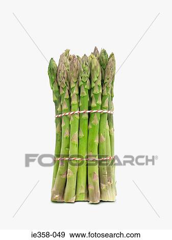 Asparagus View Large Photo Image Stock Photo - Asparagus. Fotosearch
