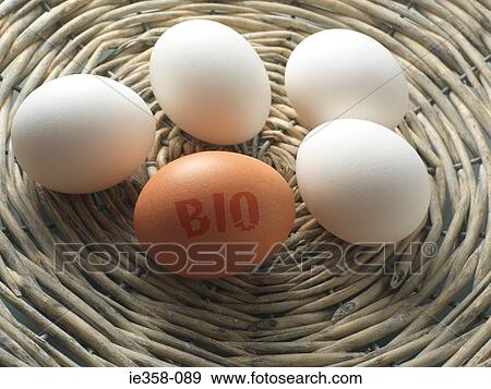 Bio egg View Large Photo Image Stock Photo - Bio egg. Fotosearch