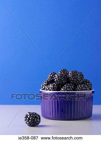 Blackberries View Large Photo Image Stock Photo - Blackberries. Fotosearch