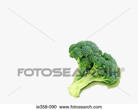 Broccoli View Large Photo Image Stock Image - Broccoli. Fotosearch