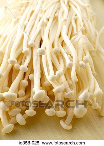 Enokitake mushrooms View Large Photo Image Stock Photography - Enokitake mushrooms. Fotosearch
