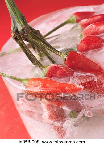Frozen chilli peppers View Large Photo Image Stock Photo - Frozen chilli peppers. Fotosearch