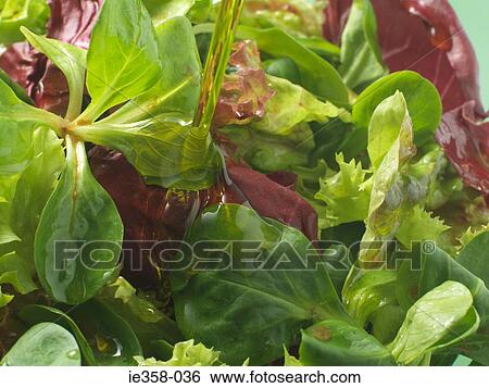 Olive oil being poured onto salad View Large Photo Image Stock Photograph - Olive oil being poured onto salad. Fotosearch
