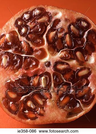 Pomegranate View Large Photo Image Stock Photograph - Pomegranate. Fotosearch