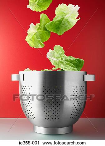 Salad leaves falling into colander View Large Photo Image Stock Image - Salad leaves falling into colander. Fotosearch
