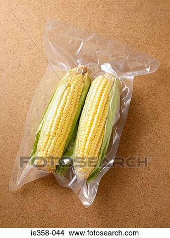 Vacuum packed sweetcorn View Large Photo Image Picture - Vacuum packed sweetcorn. Fotosearch