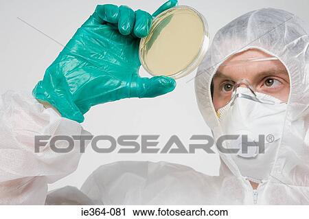 Scientist with petri dish View Large Photo Image Stock Image - Scientist with petri dish. Fotosearch