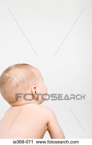 Rear view of a baby boy View Large Photo Image Stock Image - Rear view of a baby boy. Fotosearch